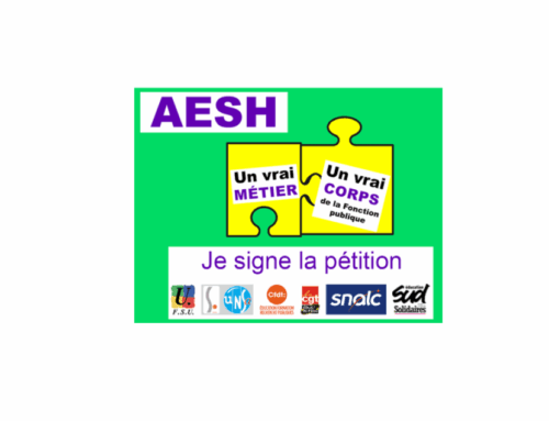 AESH : un vrai métier, un vrai corps de fonctionnaire !